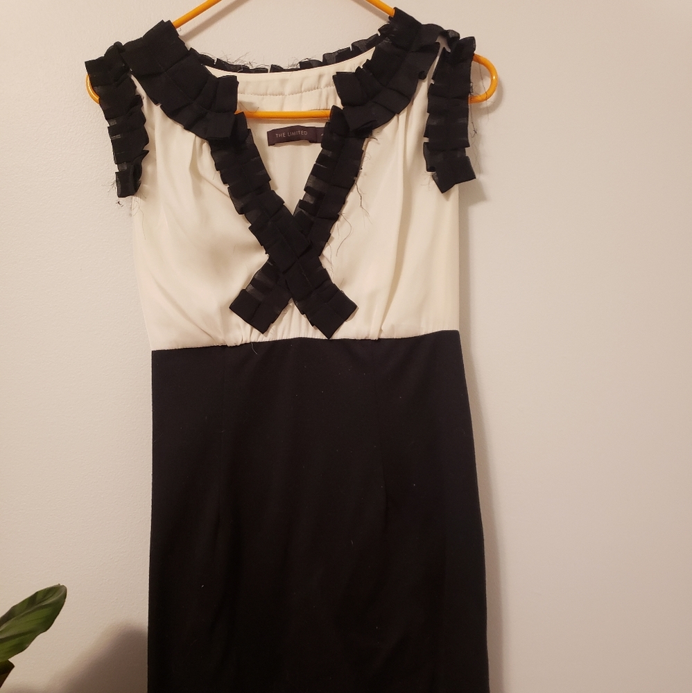 The Limited Dress